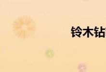 铃木钻豹125价格