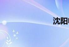 沈阳电子警察