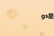 gs是什么意思