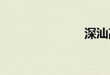深汕高速路况