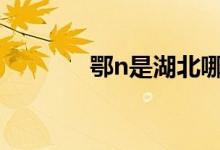 鄂n是湖北哪个城市的车牌号