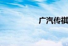 广汽传祺gs5真实油耗