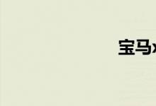 宝马x1二手车