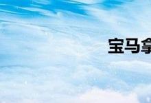 宝马拿铁摩托车