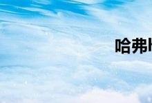 哈弗h1怎么样