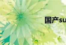国产suv哪款最好