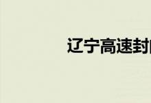 辽宁高速封闭路况查询今天