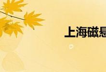 上海磁悬浮列车路线