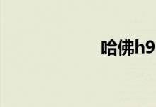 哈佛h9多少钱一辆