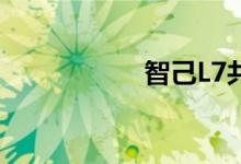 智己L7共有两款配置