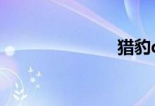 猎豹q6怎么样