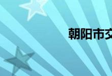 朝阳市交通违章查询