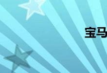 宝马5系油耗