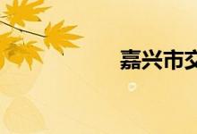 嘉兴市交通违章查询