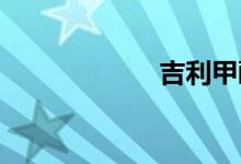 吉利甲醇汽车价格