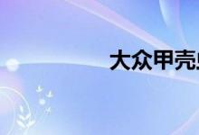 大众甲壳虫敞篷车报价