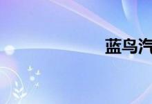 蓝鸟汽车2015款
