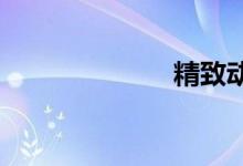精致动感两厢车