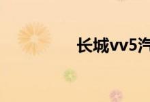 长城vv5汽车的致命缺点