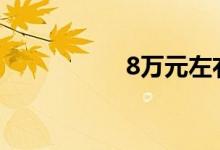 8万元左右买什么车好