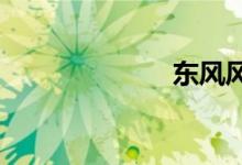 东风风神怎么样