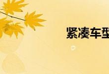 紧凑车型销量排行榜
