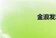 金浪发动机怎么样