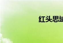 红头思域type r价格