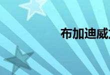 布加迪威龙百公里加速