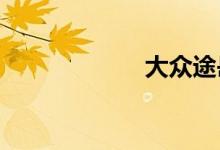 大众途岳最大缺点