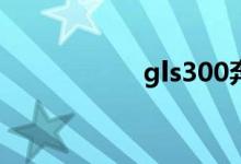 gls300奔驰售价多少