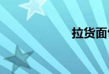 拉货面包车哪个好