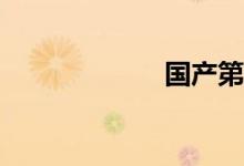 国产第一好看suv