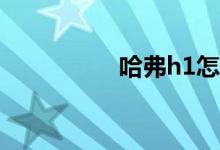 哈弗h1怎么样毛病多吗