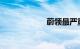 蔚领最严重的缺点