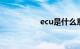 ecu是什么意思车上的