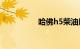 哈佛h5柴油版毛病多吗