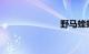野马蝰蛇报价