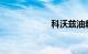 科沃兹油耗怎么样