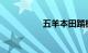 五羊本田踏板车哪款好