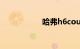 哈弗h6coupe毛病多