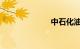 中石化油价查询