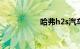 哈弗h2s汽车最大缺点