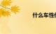 什么车性价比最高