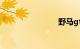 野马gt报价