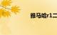 雅马哈r1二手车报价