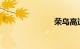 荣乌高速路况