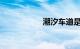 潮汐车道是什么意思