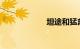 坦途和猛禽哪个好