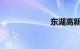 东湖高新车管所